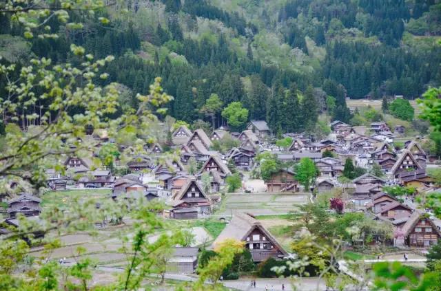 美丽乡村日本白川乡合掌村