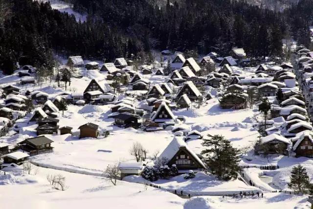 美丽乡村日本白川乡合掌村