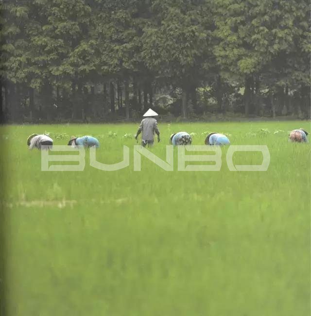 小镇的边界与蓝城理想小镇