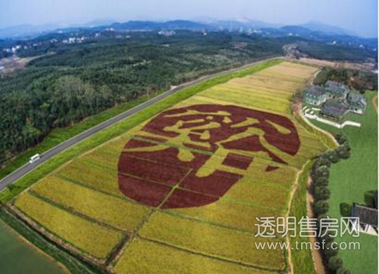 融创·莫干溪谷实景图