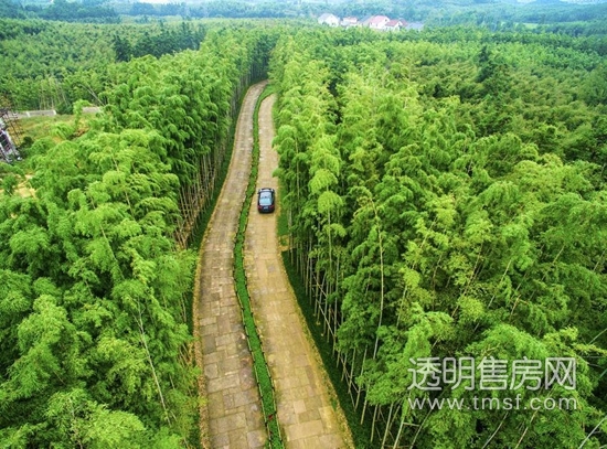 融创·莫干溪谷实景图