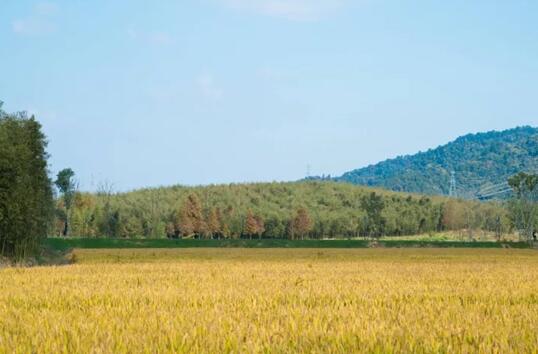 融创莫干溪谷实景