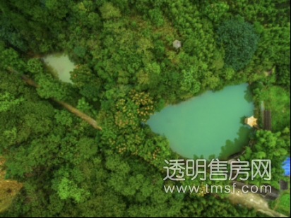 融创莫干溪谷现场实景图