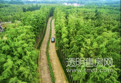 融创莫干溪谷现场实景图