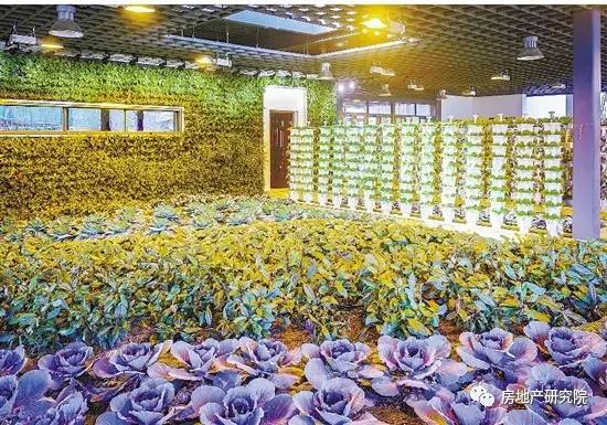 越剧小镇：文化与农业的特色小镇与田园综合体