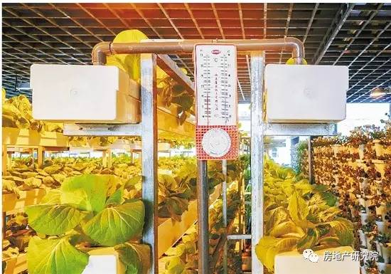 越剧小镇：文化与农业的特色小镇与田园综合体