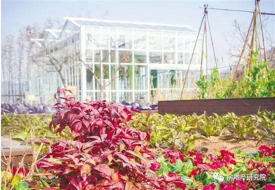 嵊州绿城越剧小镇