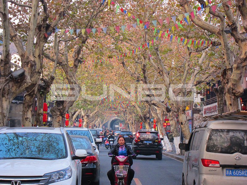 杭州鼓楼美食街(南宋御街)