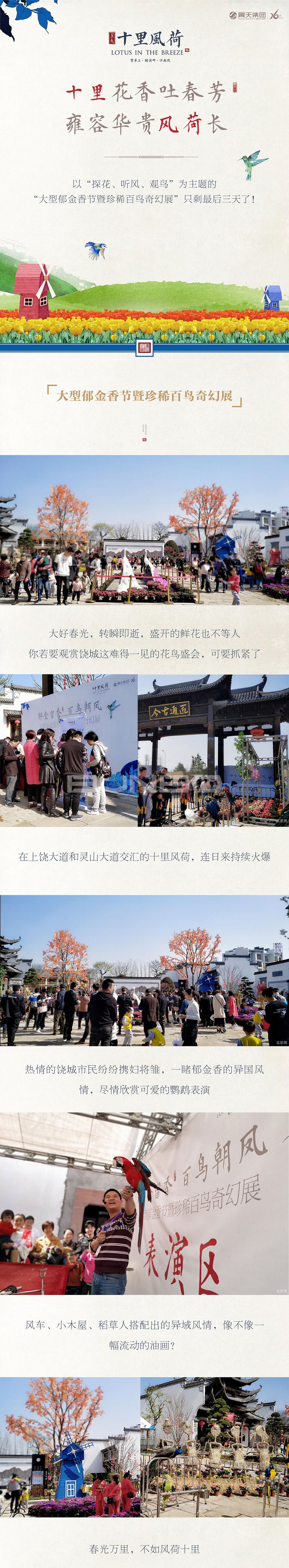灵山工匠小镇《百鸟朝凤》郁金香节微信稿