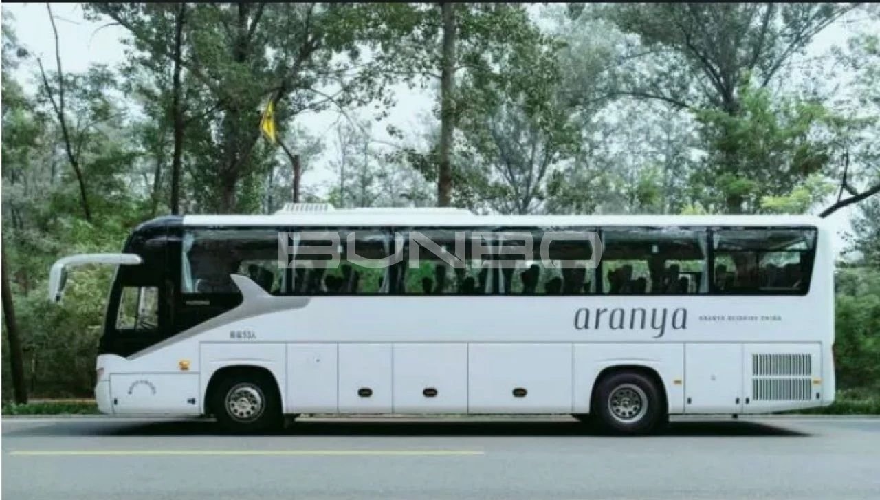 阿那亚交通组织