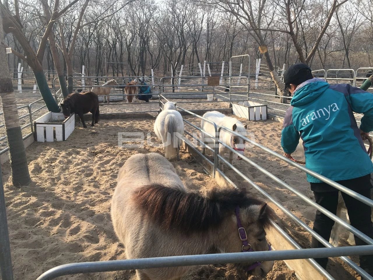 阿那亚运动配套体系