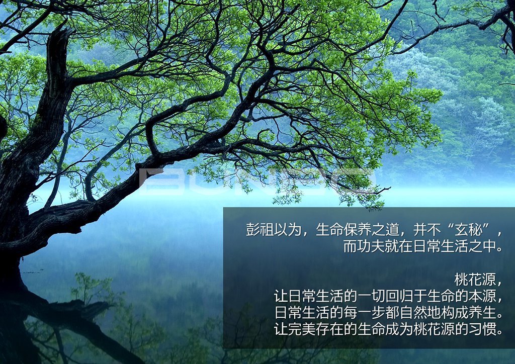 绿城安吉桃花源概念初论