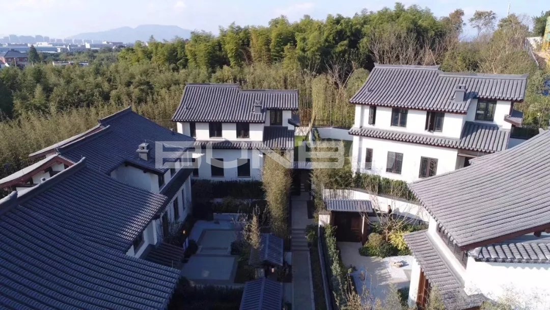 莫干溪谷茶心庄示范区实景图