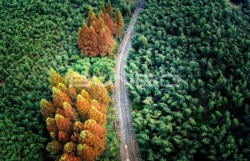 融创莫干溪谷实景照片