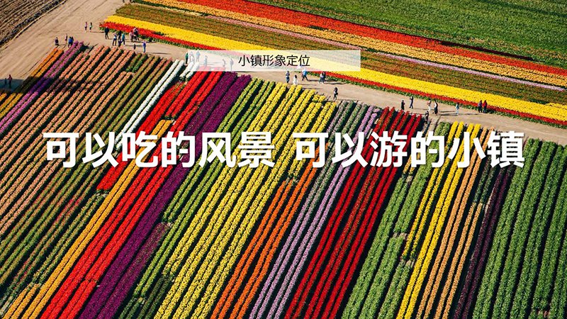 绿地安南小镇策划与规划概念