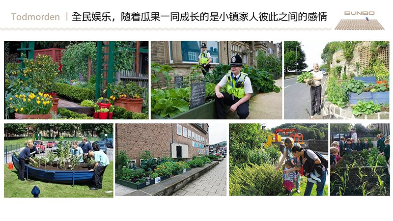 绿地安南小镇策划与规划概念