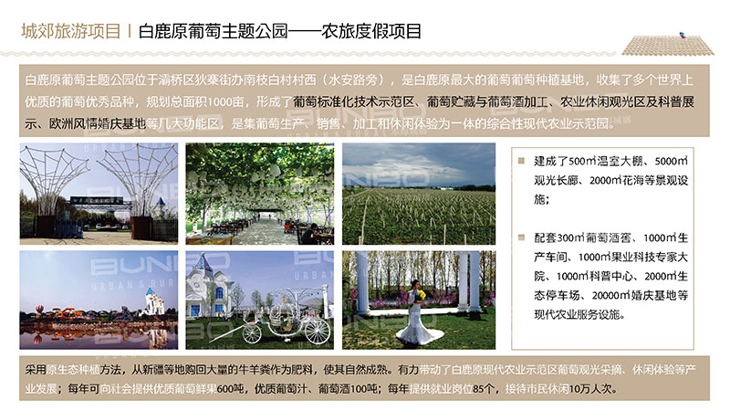 西安白鹿原农业与旅游开发项目调研