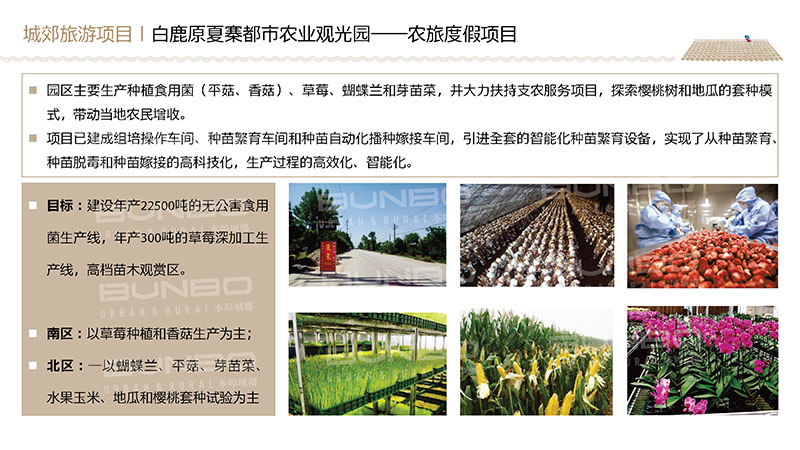 西安白鹿原农业与旅游开发项目调研