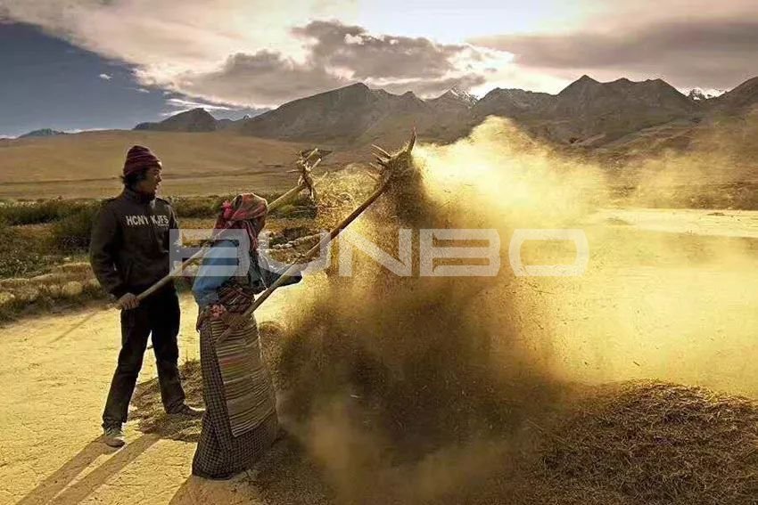 中国传统村落人类文明基因库