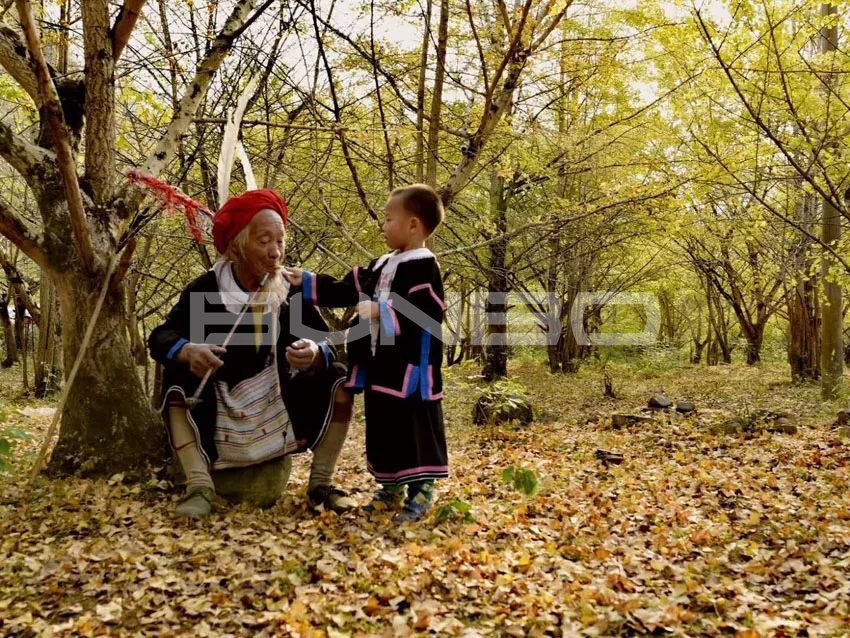 中国传统村落人类文明基因库