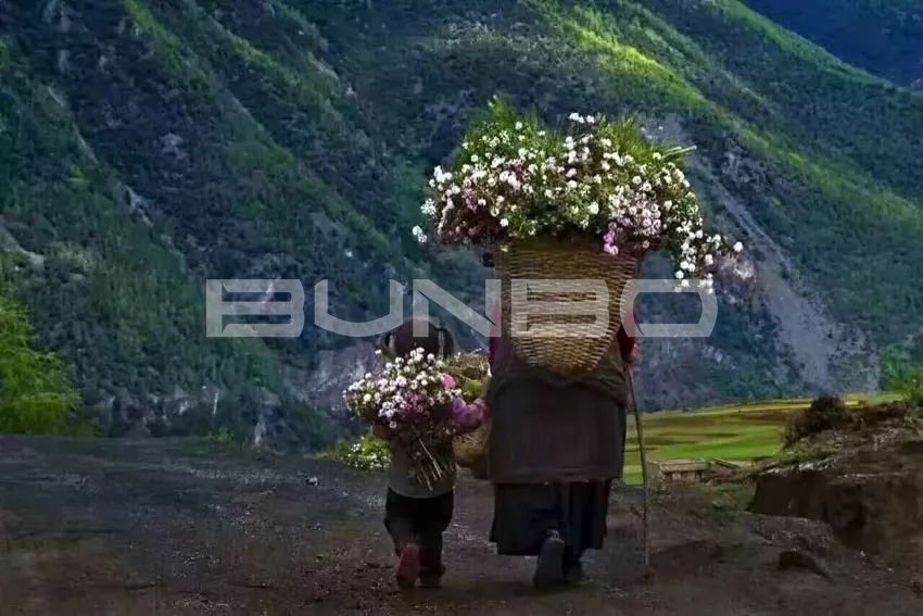 中国传统村落人类文明基因库