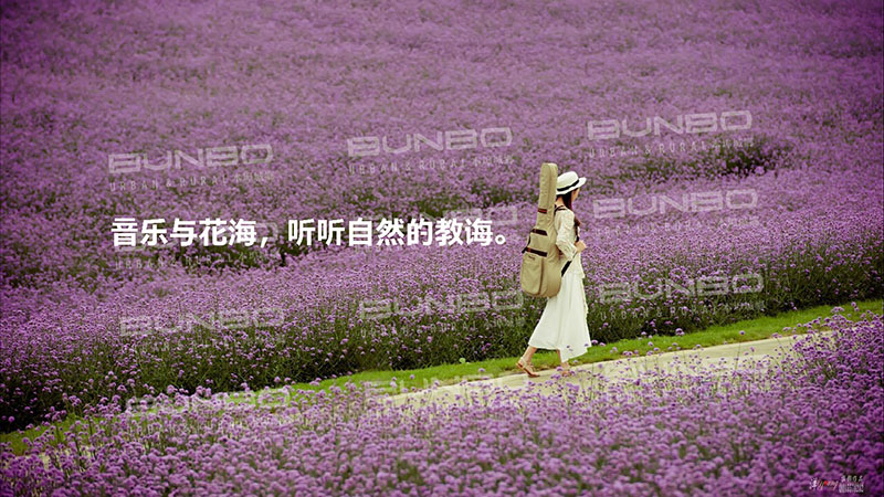 教育主题小镇策划书