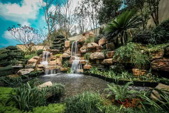 天使小镇教育+颐养品牌发布会