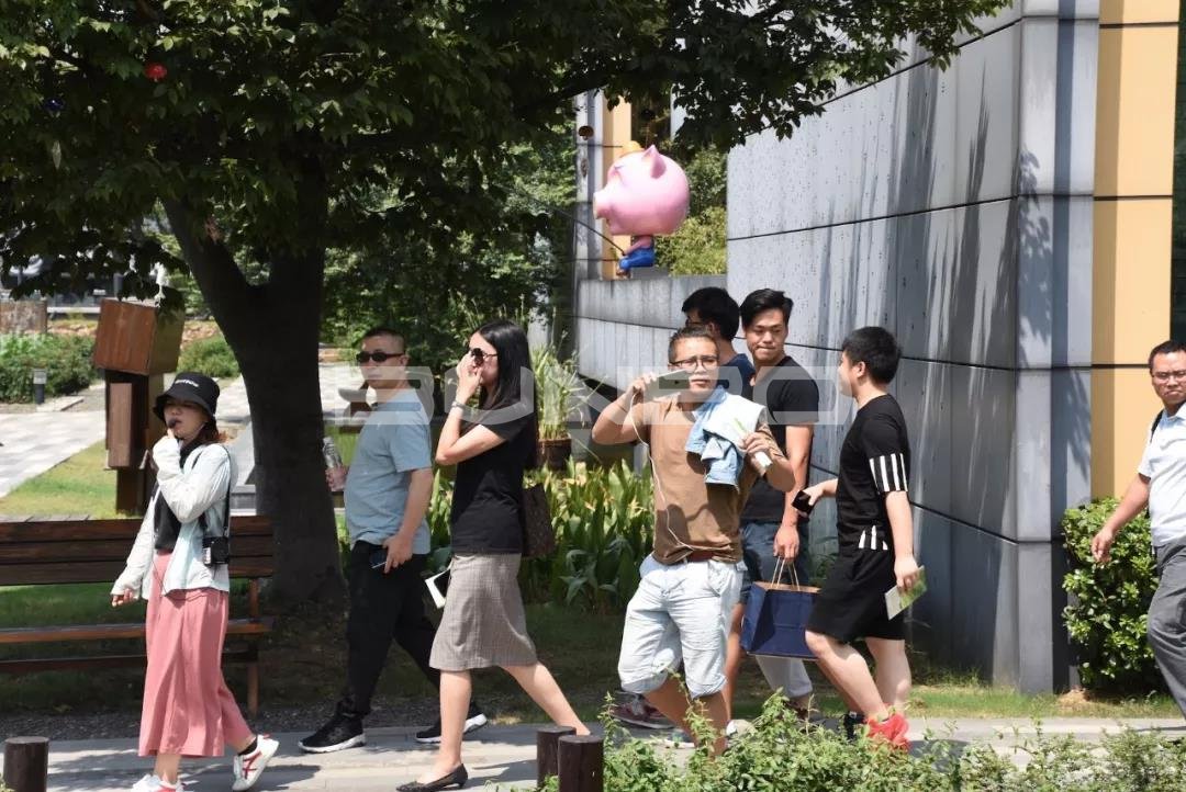 本埠城乡特色小镇考察之旅