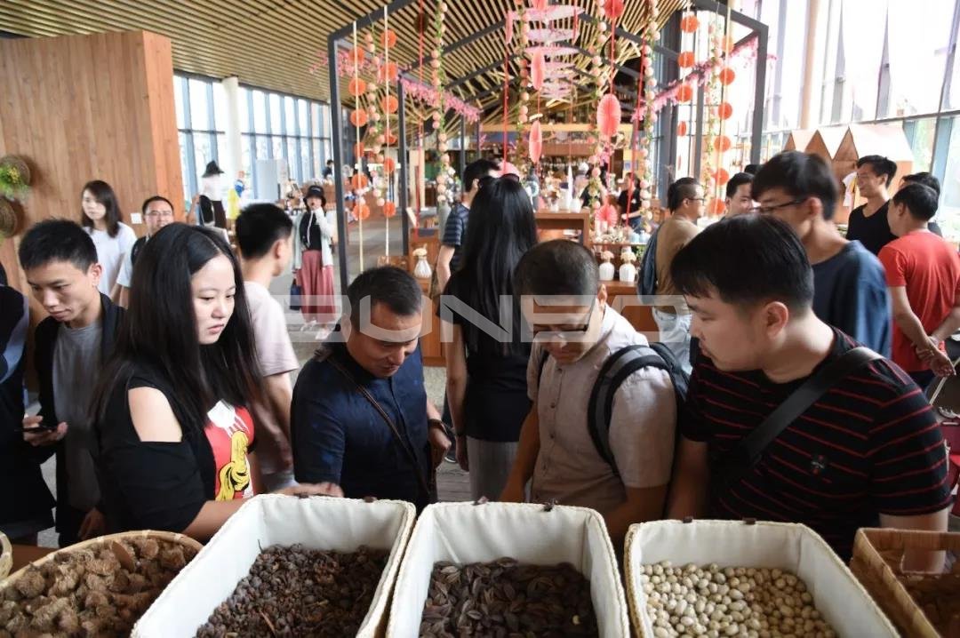 本埠城乡特色小镇考察之旅