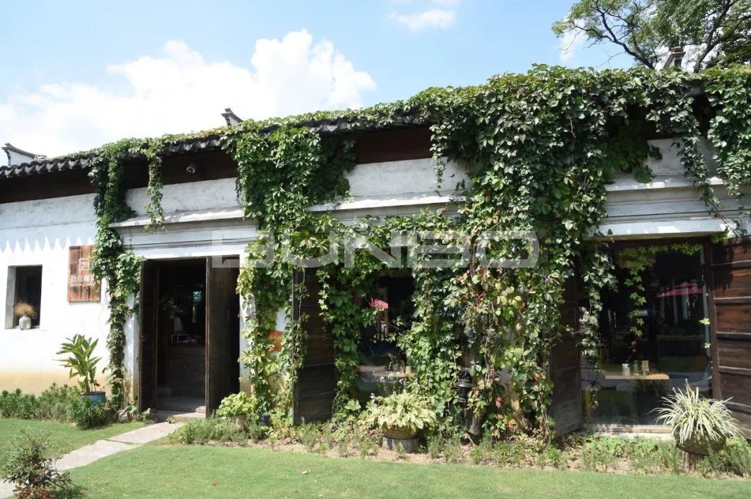 本埠城乡特色小镇考察之旅