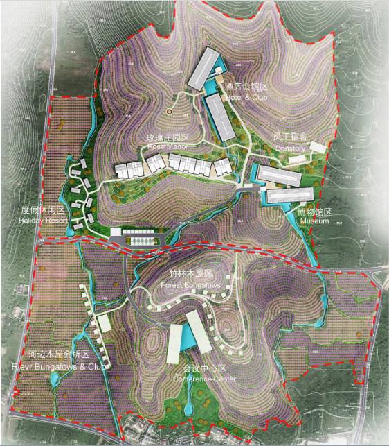 精油种植基地效果图
