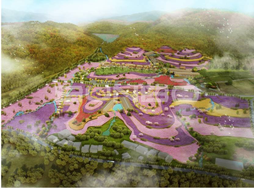 精油种植基地效果图