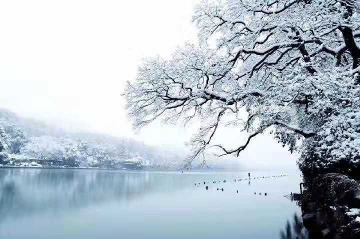 超美的杭州雪景