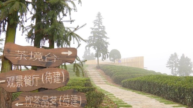 白眉茶谷小镇:打造独具特色的综合旅游示范区