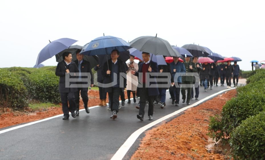 上饶白眉茶谷小镇
