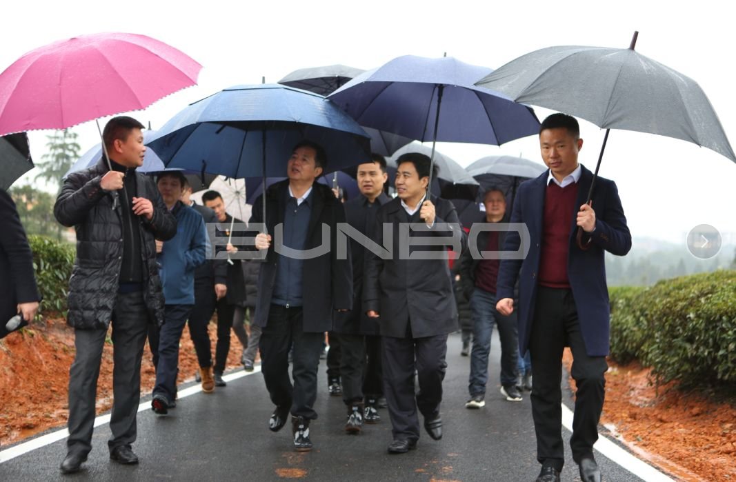 上饶白眉茶谷小镇