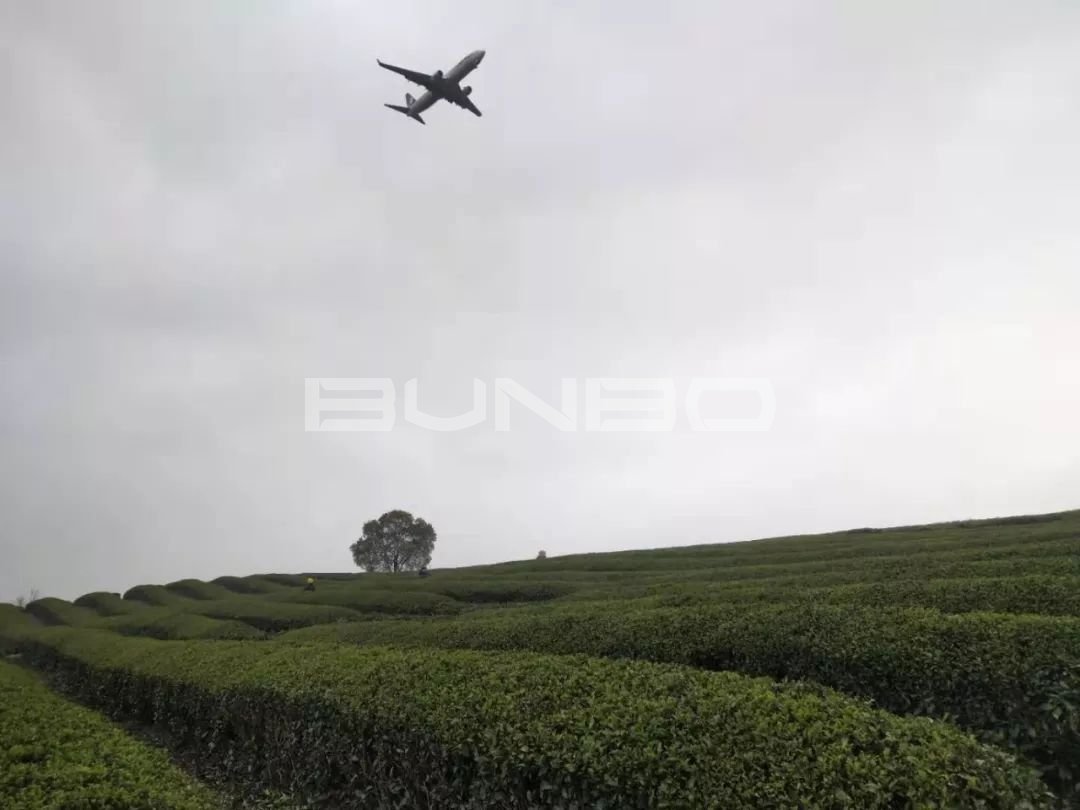 上饶白眉茶谷小镇