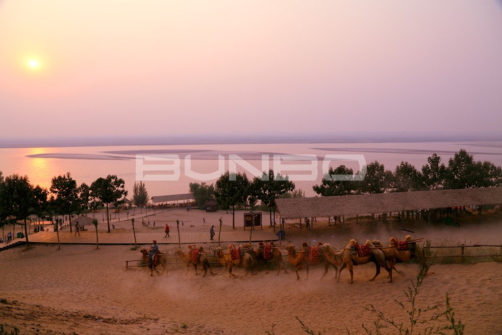 郑州荥阳樱花小镇