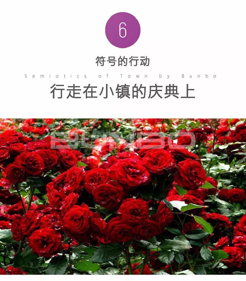 小镇符号在小镇庆典与活动中的应用