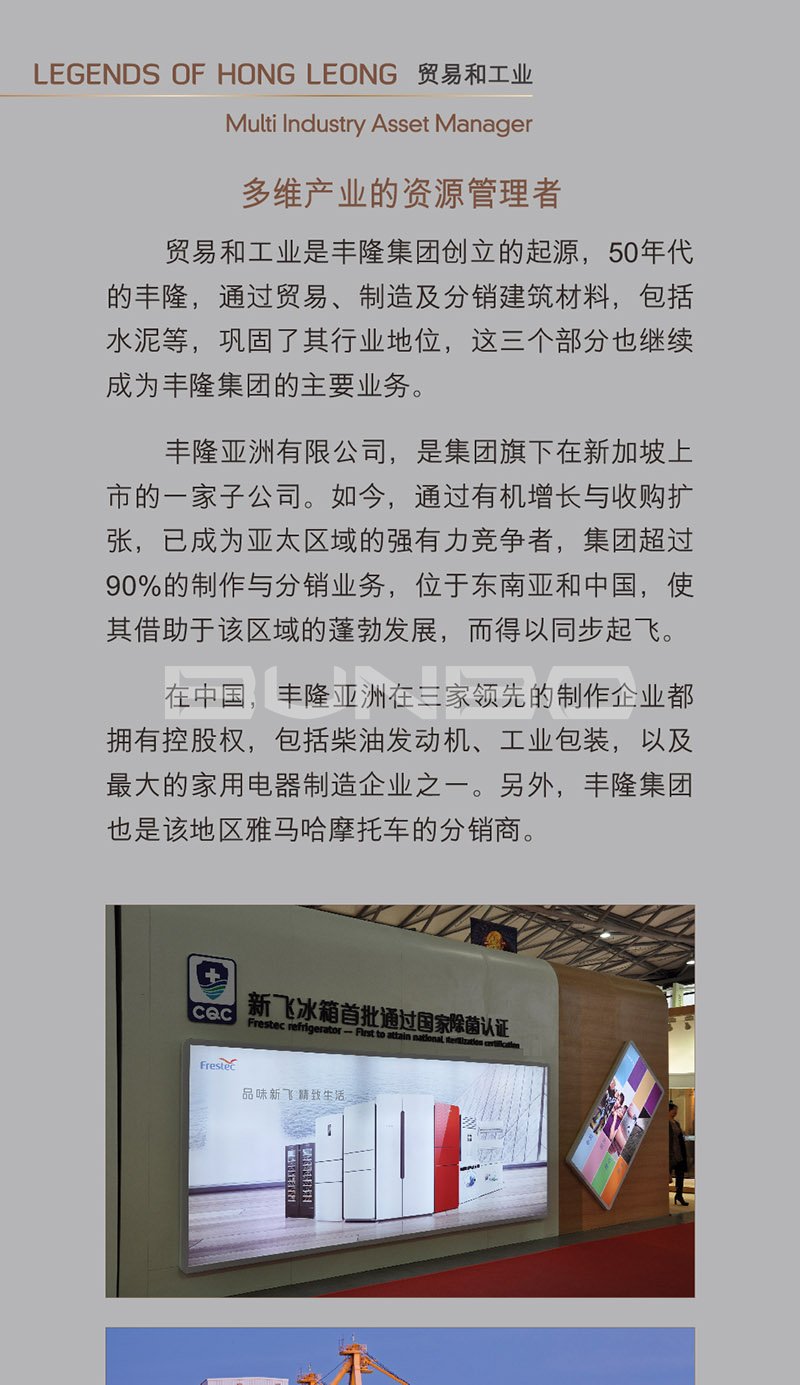 新加坡丰隆集团