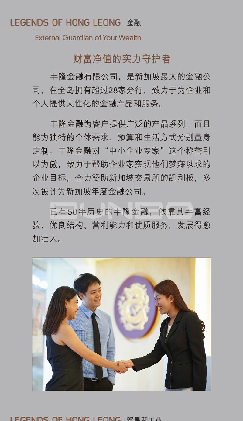 新加坡丰隆集团