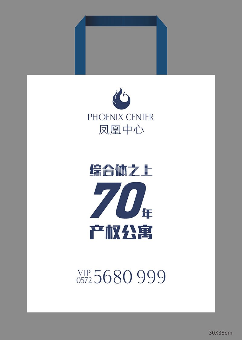 凤凰中心VI设计稿