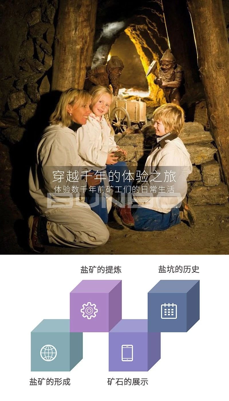 柔性旅游案例哈尔施塔特小镇