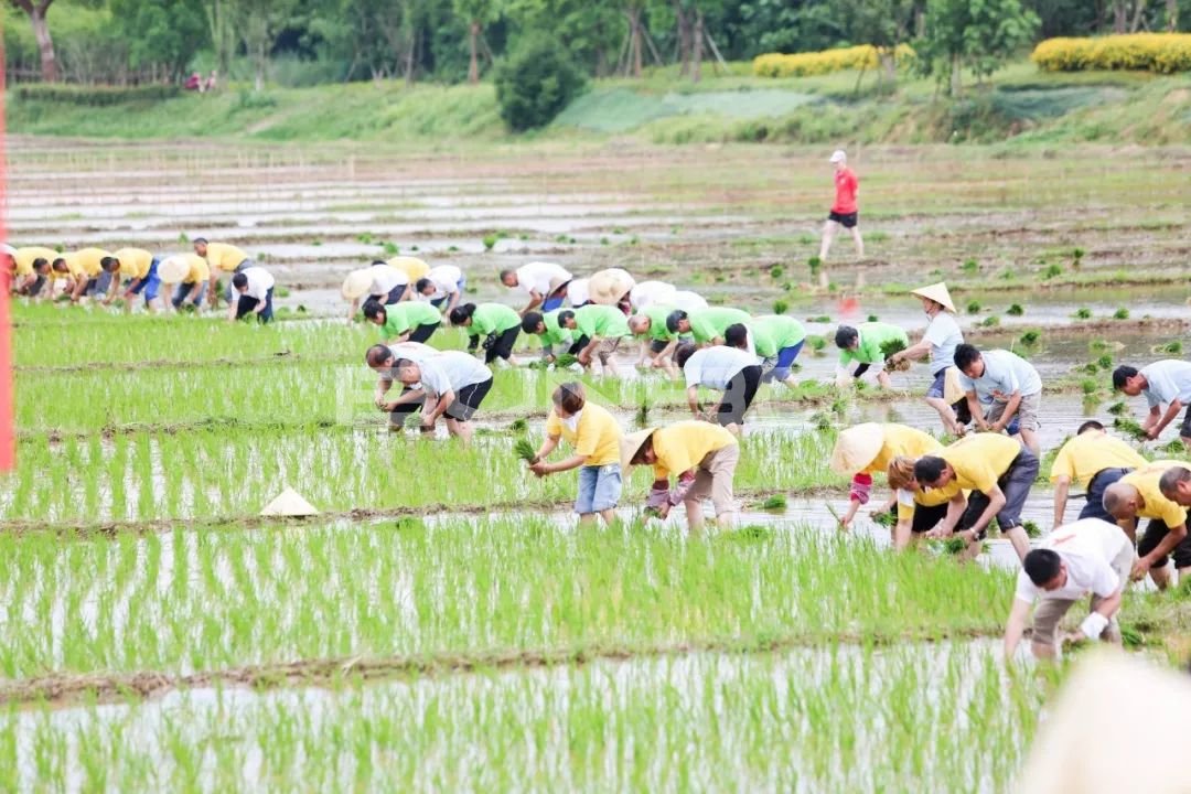 耕耘节的举办地融创·莫干溪谷