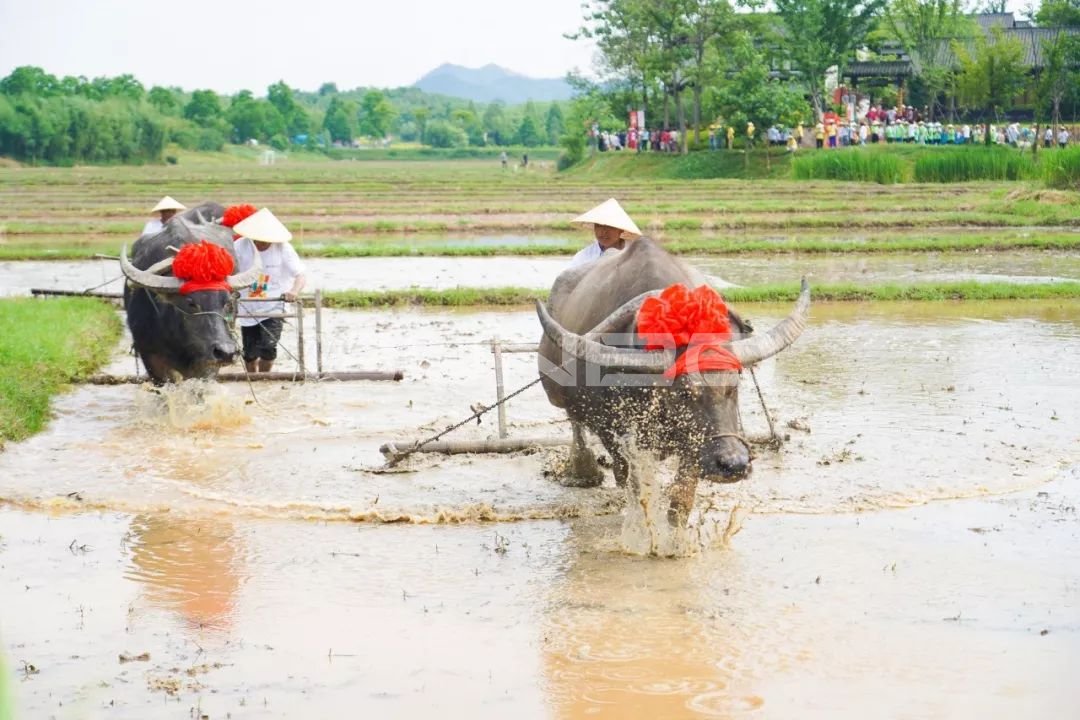 耕耘节的举办地融创·莫干溪谷
