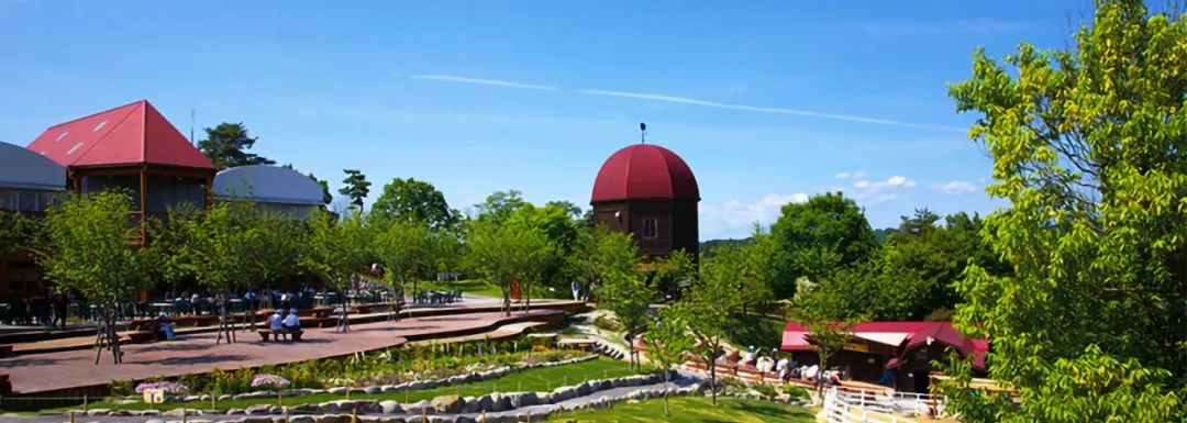 日本MOKUMOKU农场