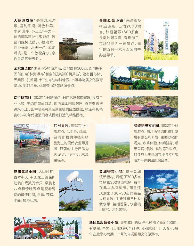 南昌西郊休闲旅游手绘地图