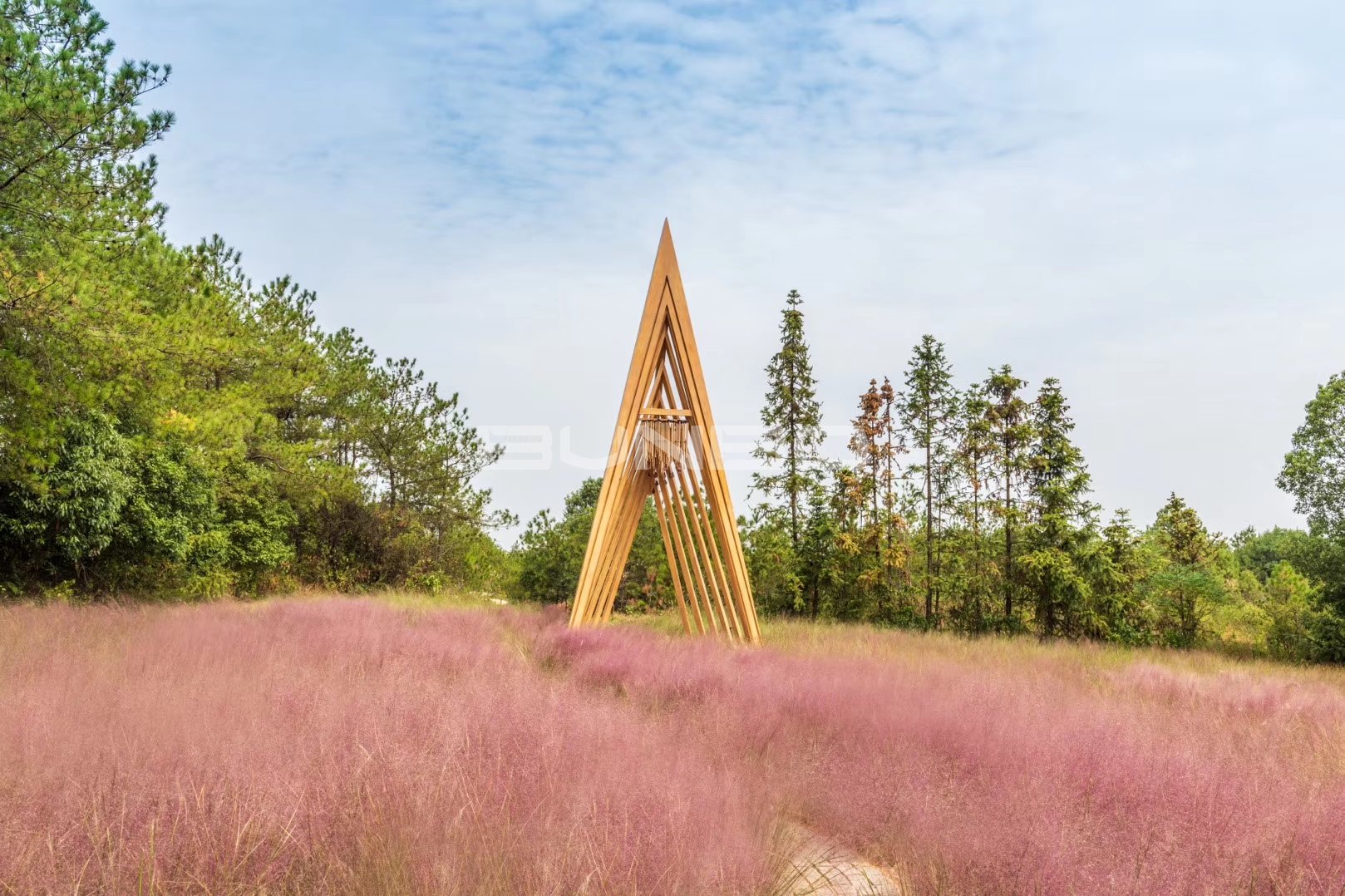 安南小镇花海实景照片