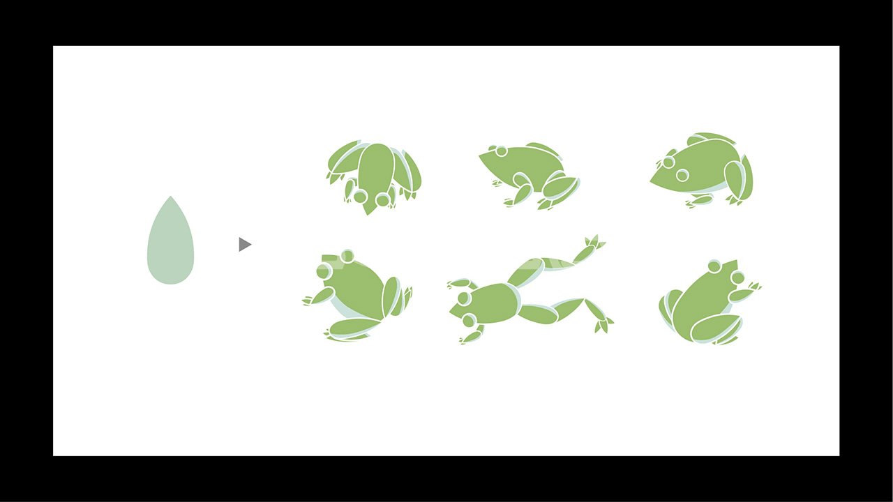 白眉茶谷视觉辅助图形设计