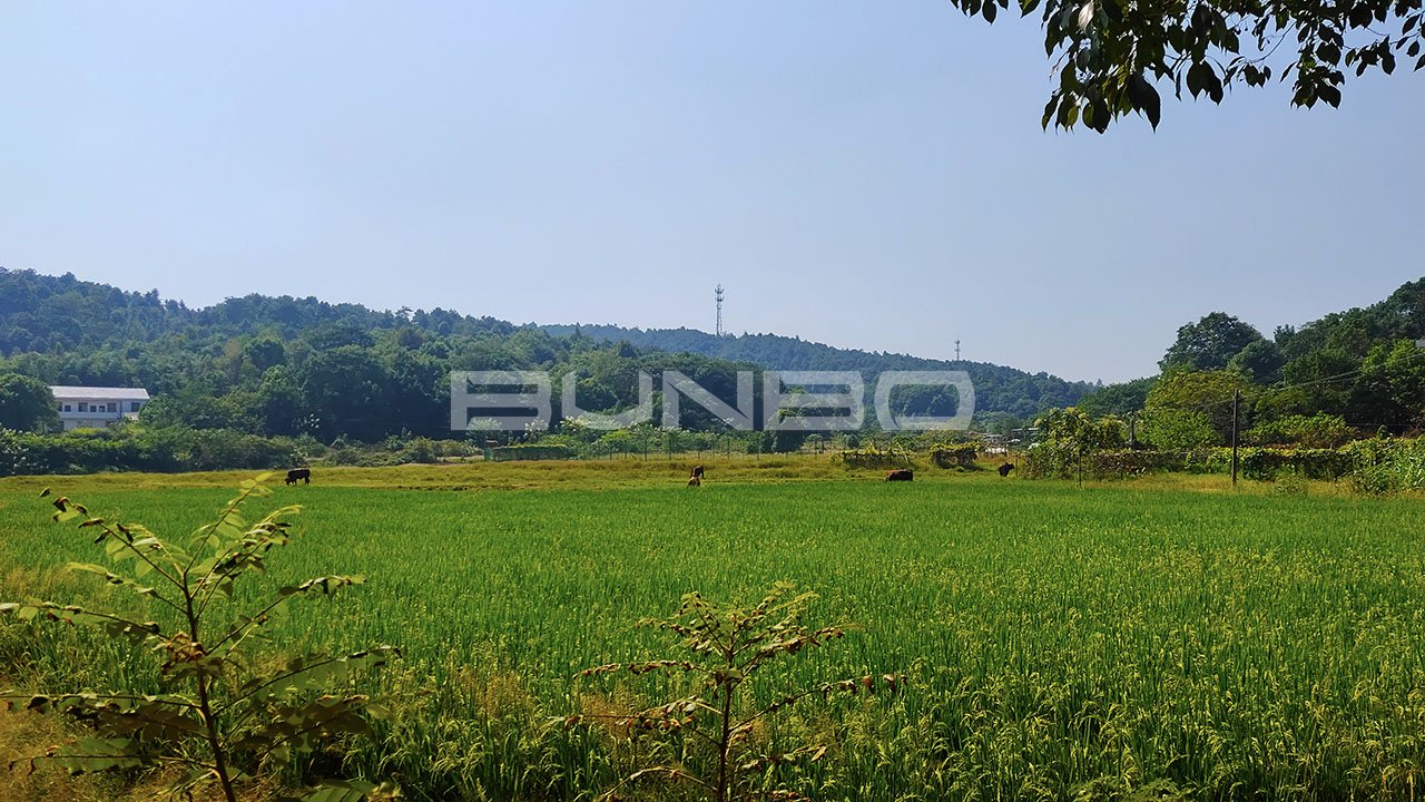 南宁乡康养小镇